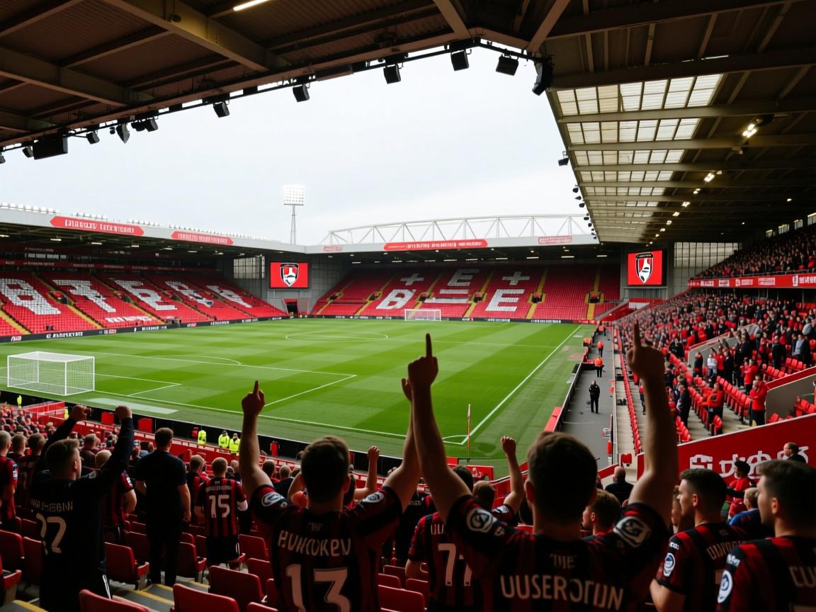 伯恩茅斯主场逆转获胜，士气大振  第2张